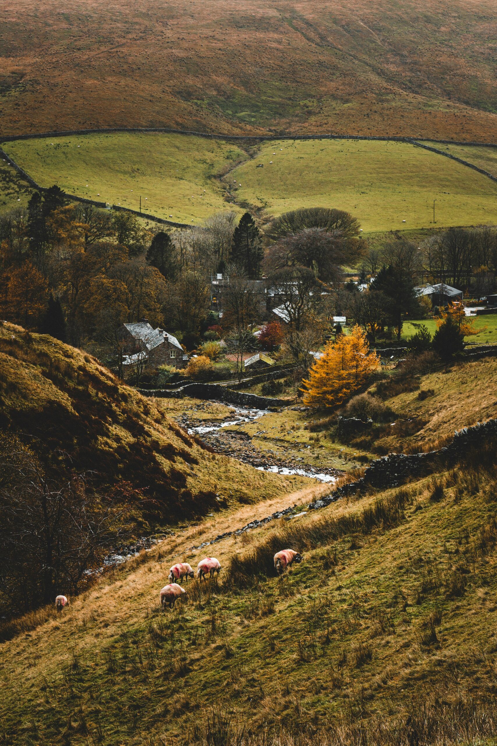 Landscape view of an english countryside farm in a valley.